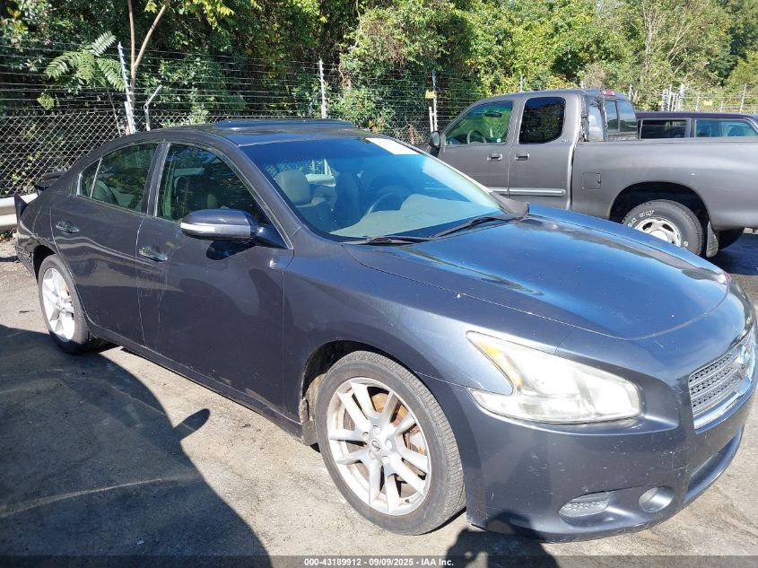 2009 Nissan Maxima 3.5 Sv VIN: 1N4AA51E99C846900 Lot: 43189912