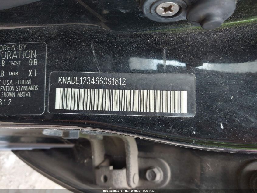 2006 Kia Rio Lx VIN: KNADE123466091812 Lot: 43190575