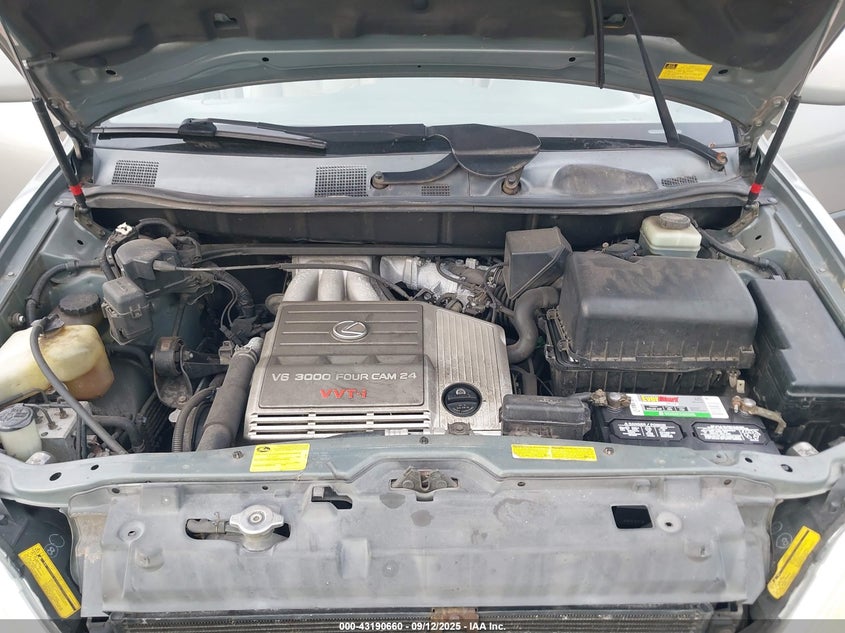 2003 Lexus Rx 300 VIN: JTJGF10U730163106 Lot: 43190660