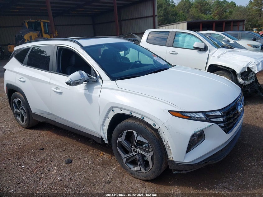 2023 HYUNDAI TUCSON SEL - 5NMJF3AEXPH243310