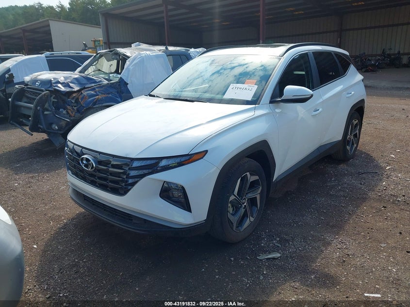 2023 HYUNDAI TUCSON SEL - 5NMJF3AEXPH243310