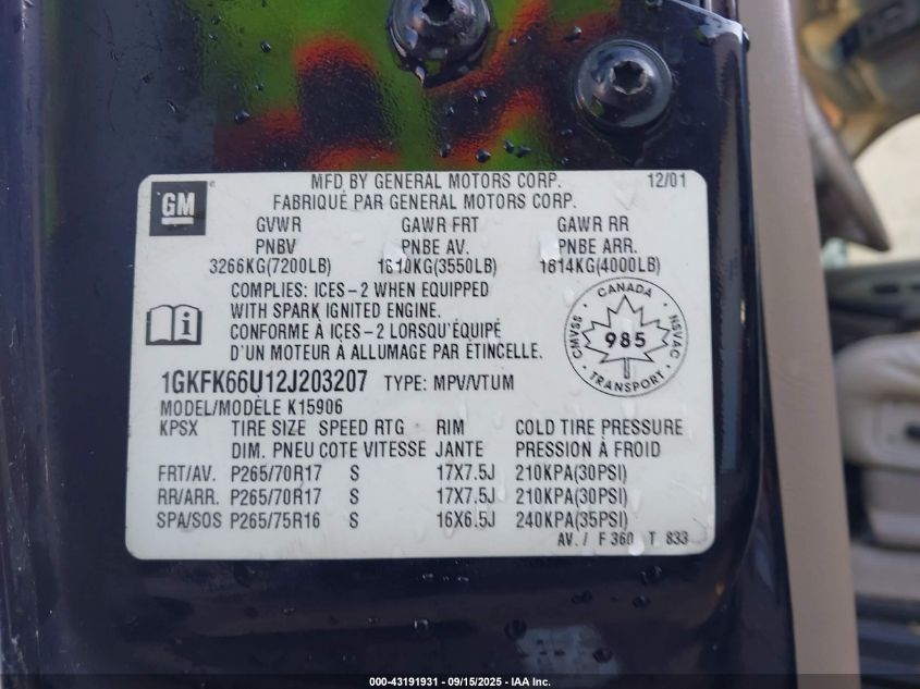 2002 GMC Yukon Xl 1500 Denali VIN: 1GKFK66U12J203207 Lot: 43191931