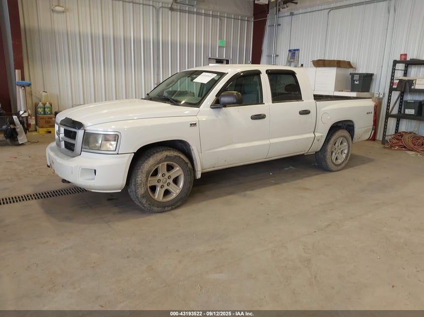 Vin: 1d7rw3gp8af221111, lot: 43687961, dodge dakota sxt 20102