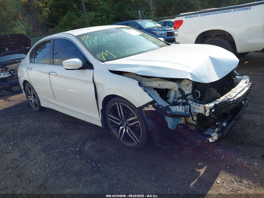 HONDA ACCORD SPORT SE