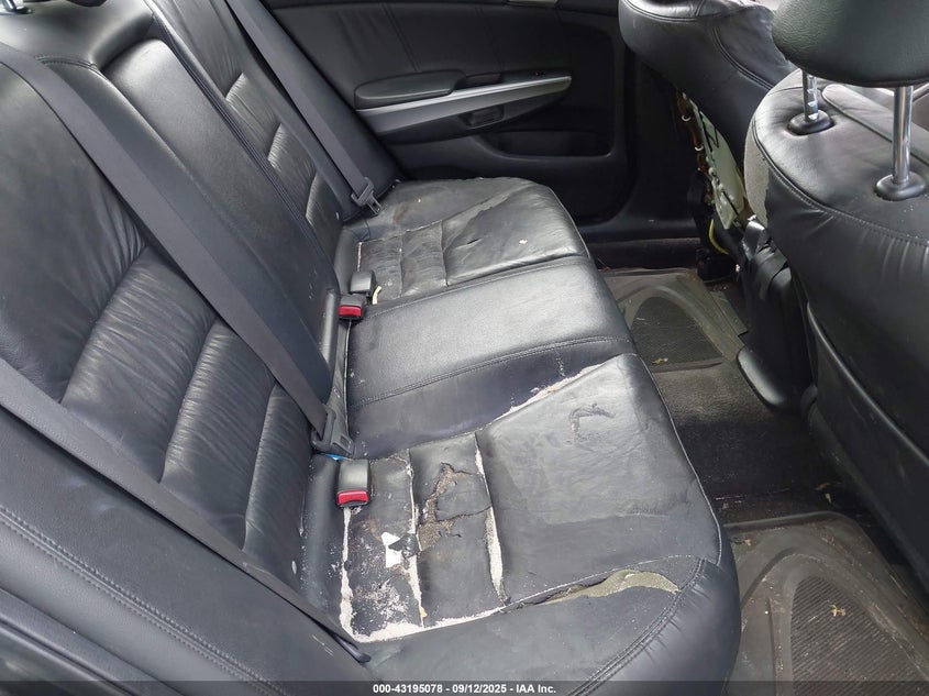 JHMCP26839C012297 2009 HONDA ACCORD photo no. 8