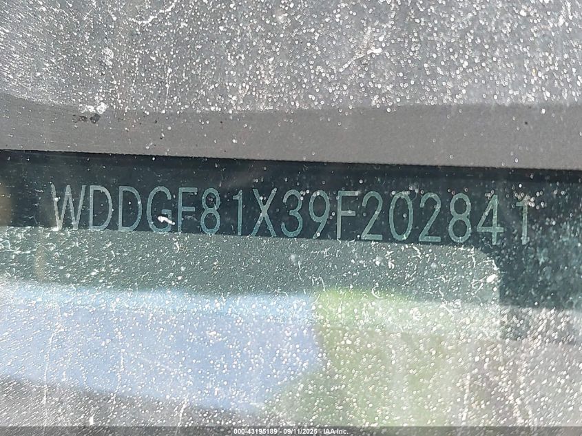 2009 Mercedes-Benz C 300 Luxury 4Matic VIN: WDDGF81X39F202841 Lot: 43195189