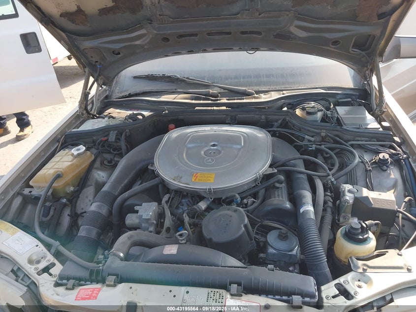 1989 Mercedes-Benz 560 Sel VIN: WDBCA39E9KA442765 Lot: 43195564