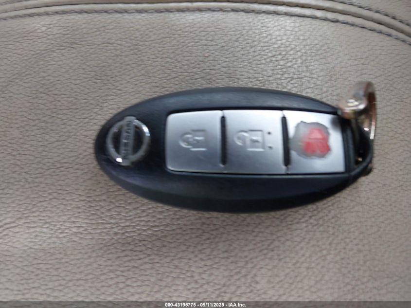 2010 Nissan Murano VIN: JN8AZA1MU5AW00210 Lot: 43195775