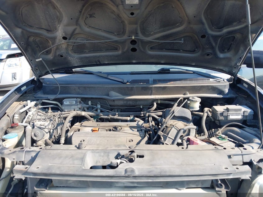 2006 Honda Element Lx VIN: 5J6YH183X6L016806 Lot: 43196566