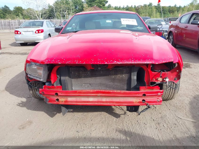 2011 Ford Mustang V6 Premium VIN: 1ZVBP8EM7B5109072 Lot: 43196744