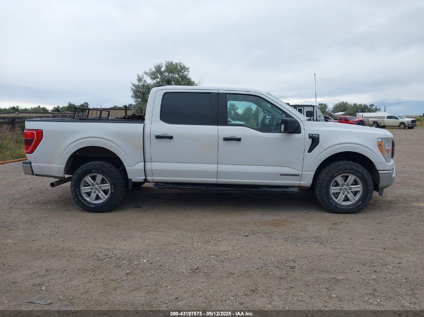 2022 Ford F-150 Xl VIN: 1FTFW1EDXNFB29796 Lot: 43197575