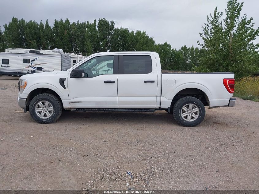 2022 Ford F-150 Xl VIN: 1FTFW1EDXNFB29796 Lot: 43197575