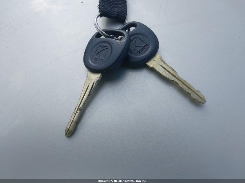 2000 Saturn Sl1 VIN: 1G8ZH5286YZ219563 Lot: 43197718