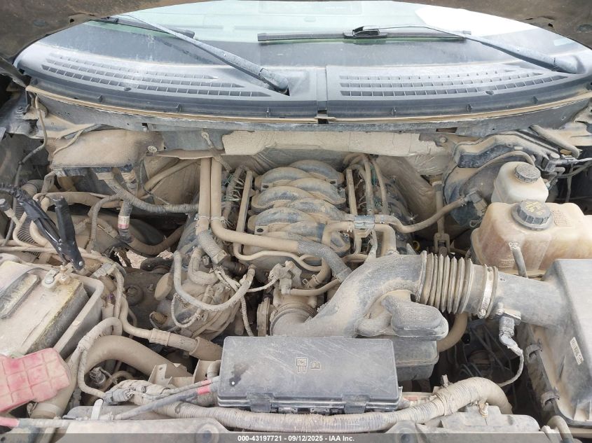 2012 Ford F-150 Xl VIN: 1FTFW1EF9CFC61981 Lot: 43197721