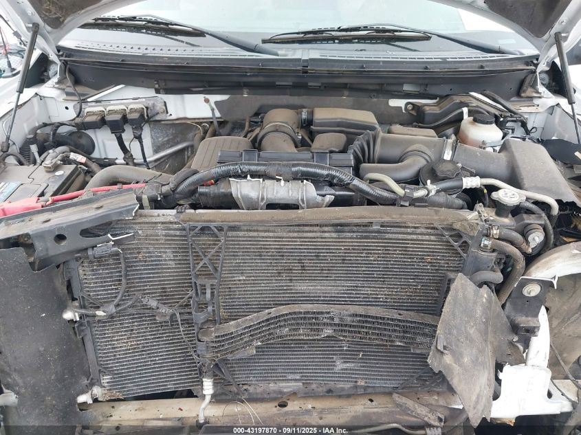 2010 Ford F-150 Fx4/Lariat/Xl/Xlt VIN: 1FTFX1EV3AKE55768 Lot: 43197870