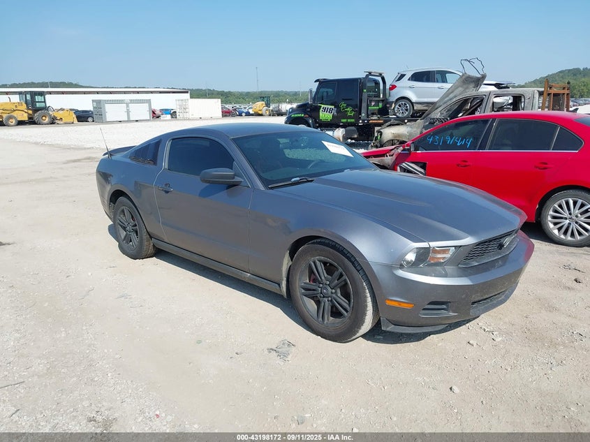 FORD MUSTANG V6