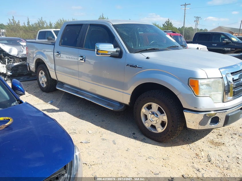 FORD F-150 XLT
