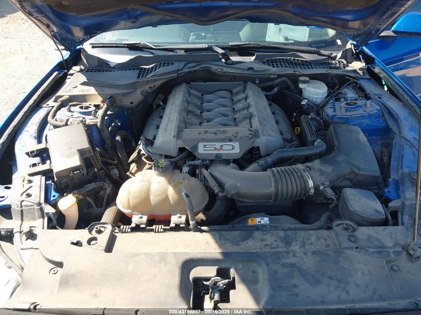 2017 Ford Mustang Gt VIN: 1FA6P8CF0H5310934 Lot: 43198857