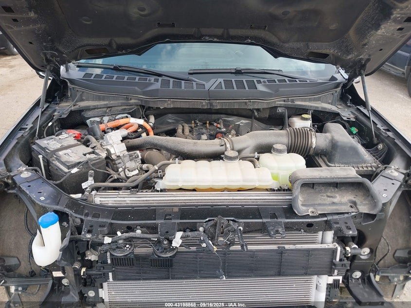 2024 Ford F-150 Xlt VIN: 1FTFW3LD5RFA49133 Lot: 43198868