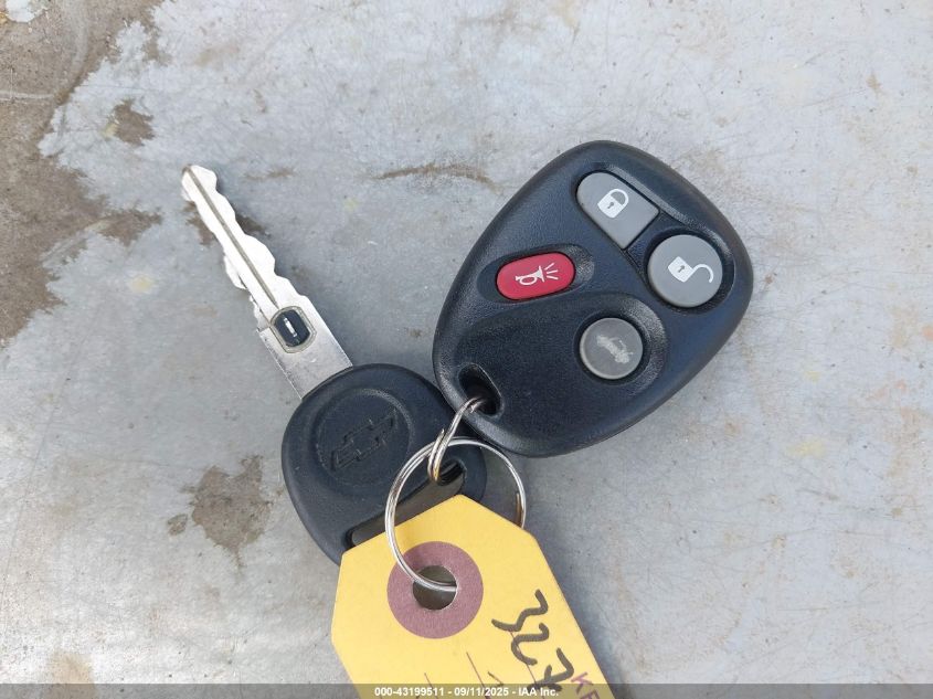 2002 Chevrolet Corvette Z06 Hardtop VIN: 1G1YY12SX25121925 Lot: 43199511