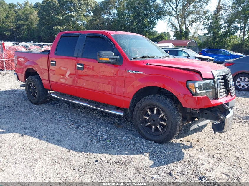 FORD F-150 FX4/HARLEY-DAVIDSON/KING RANCH/LARIAT/PLATINUM/XL/XLT