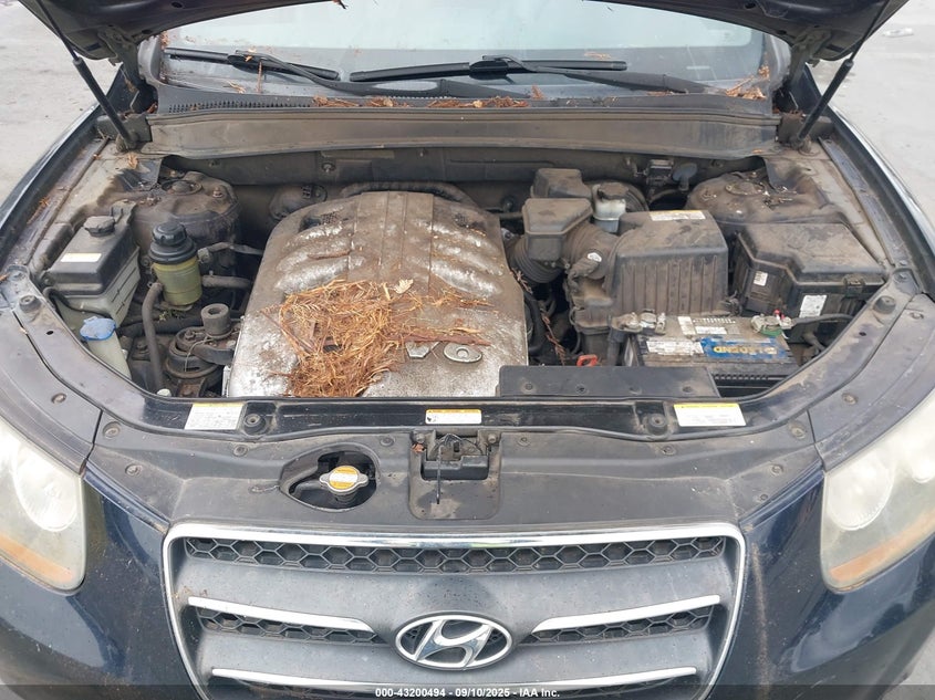 2007 Hyundai Santa Fe Limited/Se VIN: 5NMSH13E27H088669 Lot: 43200494