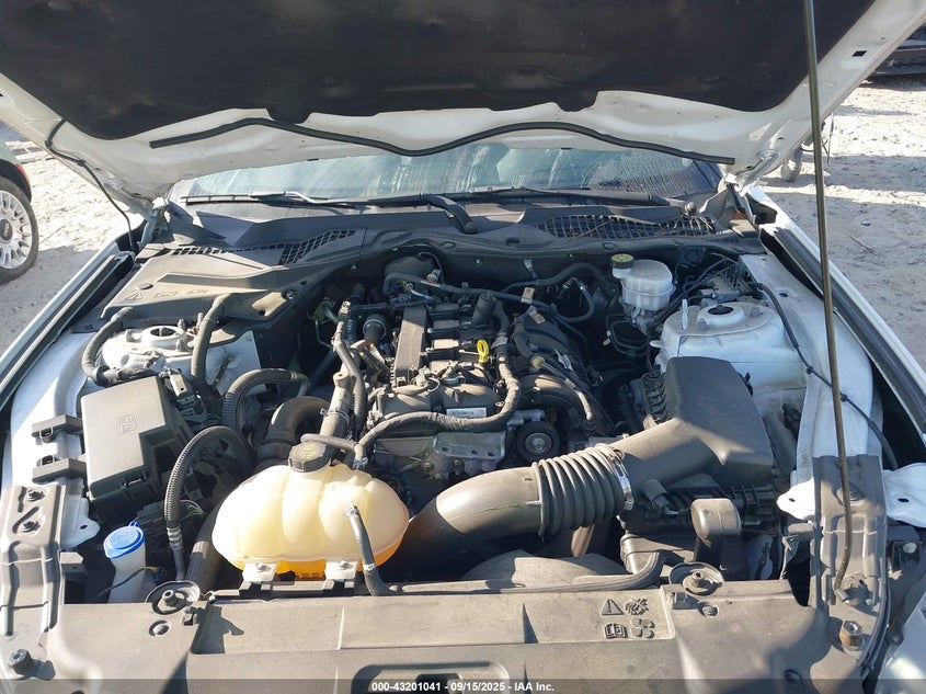 2021 FORD MUSTANG ECOBOOST FASTBACK - 1FA6P8TH7M5140566