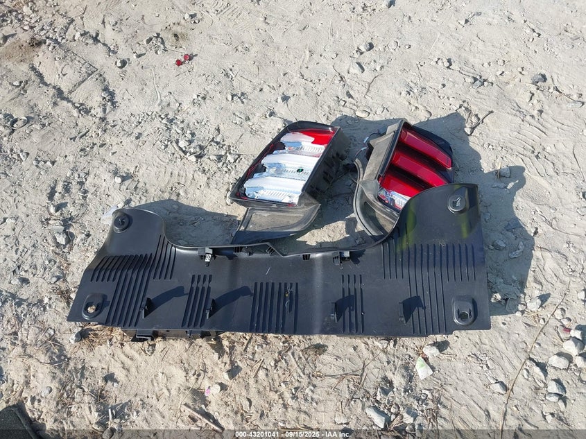 2021 FORD MUSTANG ECOBOOST FASTBACK - 1FA6P8TH7M5140566