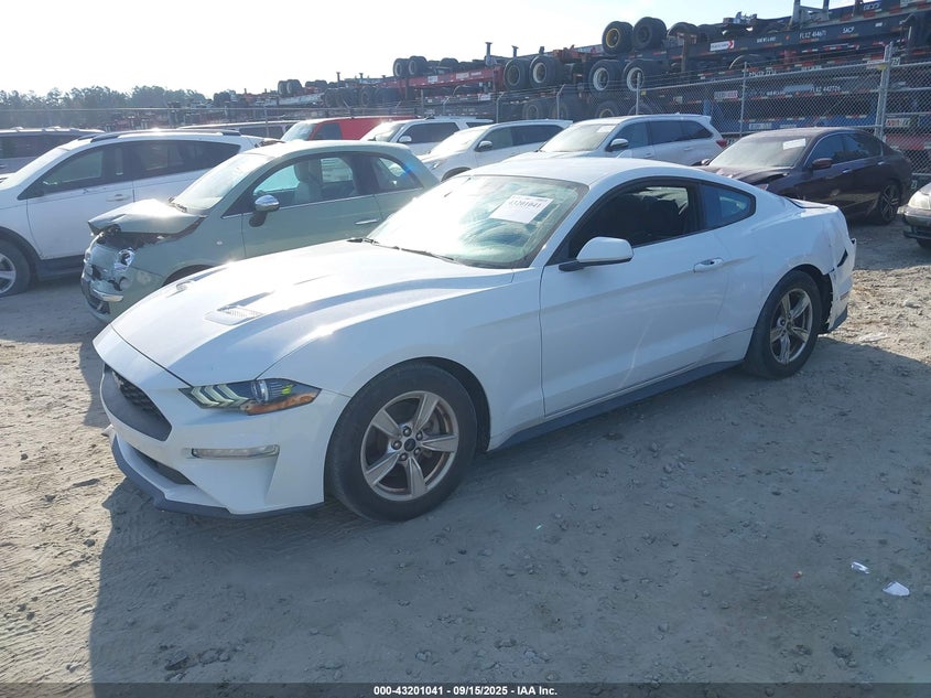 2021 FORD MUSTANG ECOBOOST FASTBACK - 1FA6P8TH7M5140566