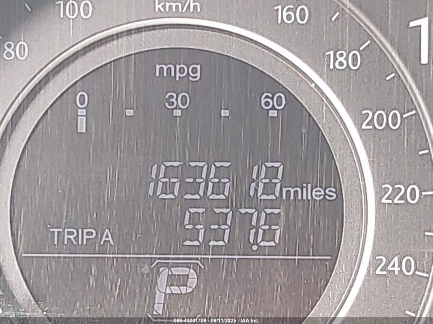 2013 Honda Accord Ex-L VIN: 1HGCR2F81DA113081 Lot: 43201709