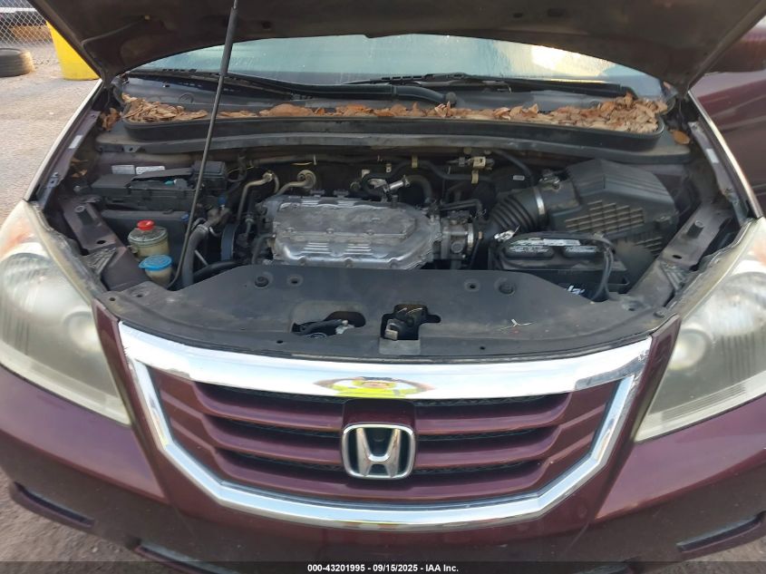 2009 Honda Odyssey Ex-L VIN: 5FNRL38679B003548 Lot: 43201995