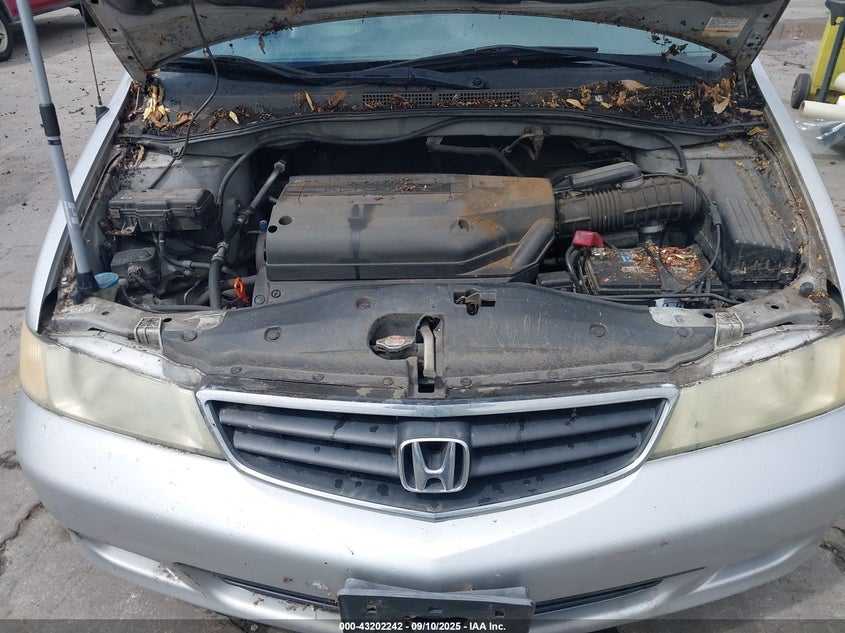 2004 Honda Odyssey Ex-L VIN: 5FNRL18914B046662 Lot: 43202242