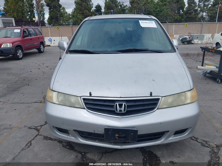 2004 Honda Odyssey Ex-L VIN: 5FNRL18914B046662 Lot: 43202242