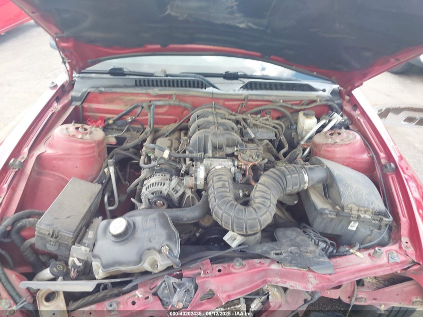 2009 Ford Mustang V6 VIN: 1ZVHT80N195114641 Lot: 43202435