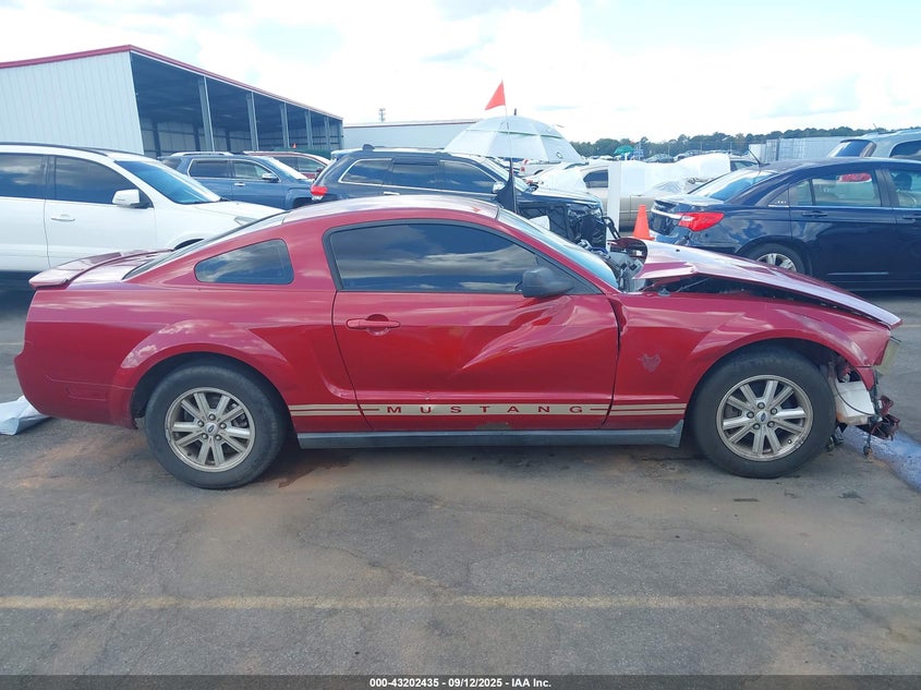 2009 Ford Mustang V6 VIN: 1ZVHT80N195114641 Lot: 43202435