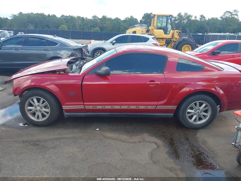 2009 Ford Mustang V6 VIN: 1ZVHT80N195114641 Lot: 43202435