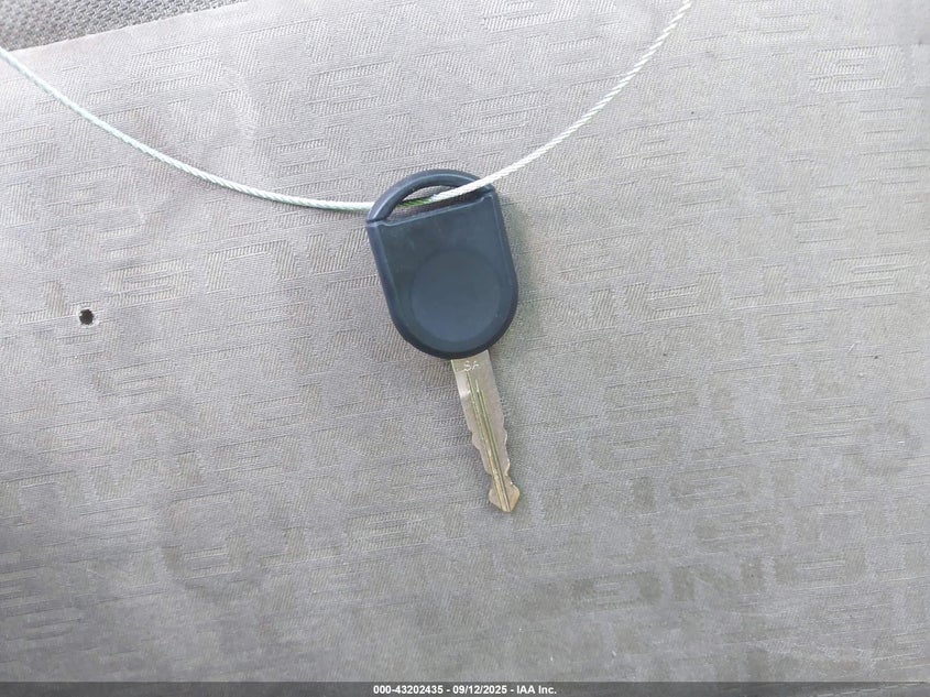 2009 Ford Mustang V6 VIN: 1ZVHT80N195114641 Lot: 43202435