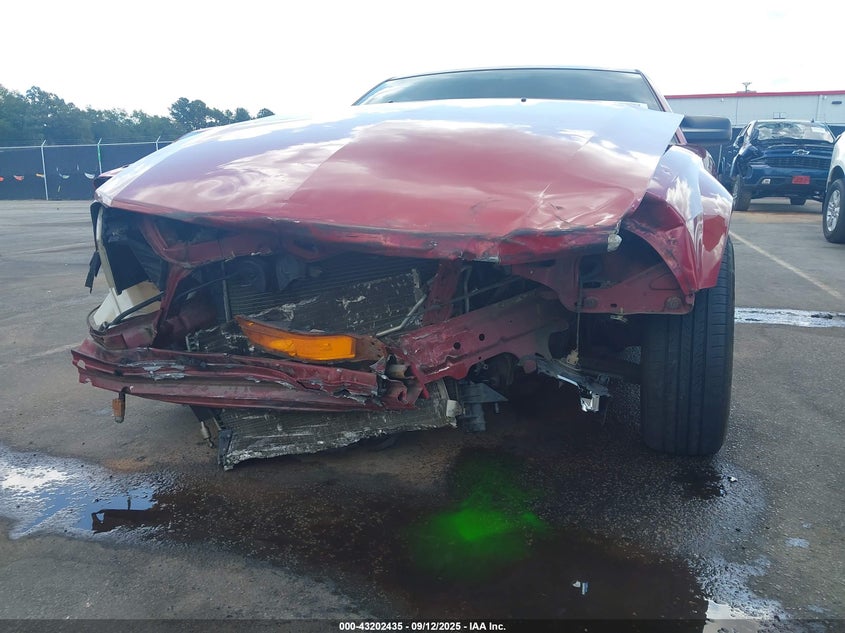 2009 Ford Mustang V6 VIN: 1ZVHT80N195114641 Lot: 43202435