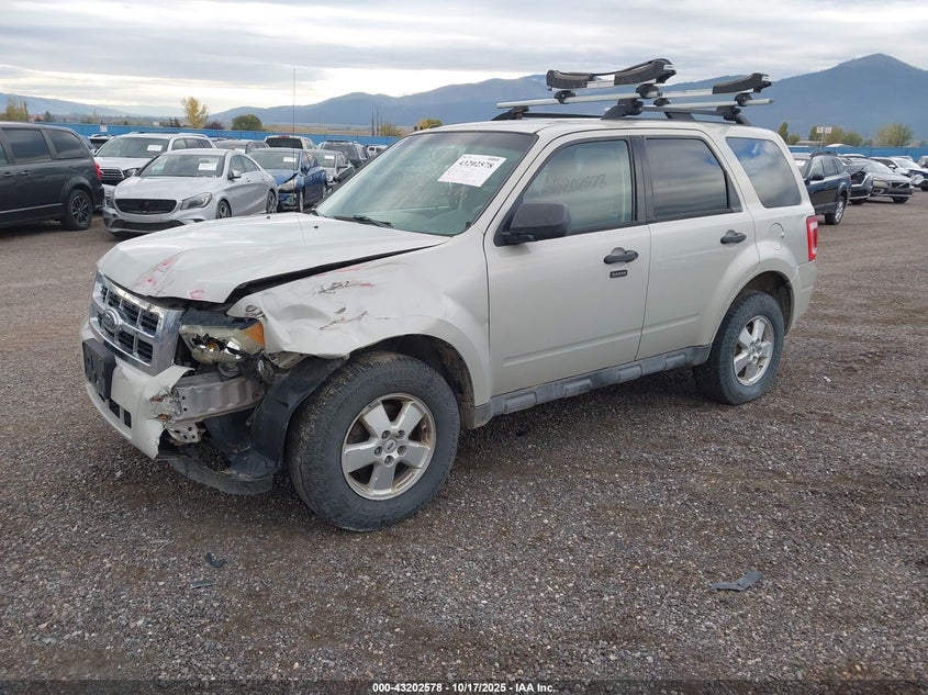2009 Ford Escape Xlt
