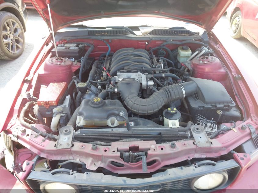 2006 Ford Mustang Gt VIN: 1ZVHT82H865170644 Lot: 43202748