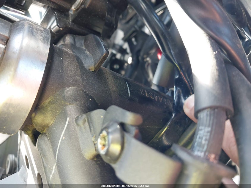 2025 Kawasaki Ex500 VIN: ML5EXGG16SDA44313 Lot: 43202839