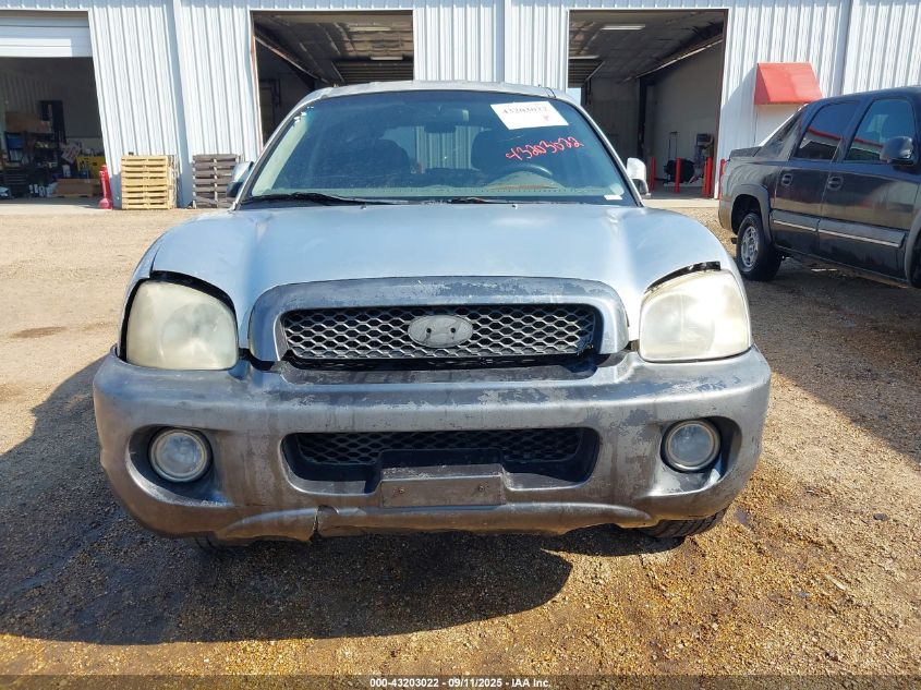 2003 Hyundai Santa Fe VIN: KM8SB12B03U360076 Lot: 43203022