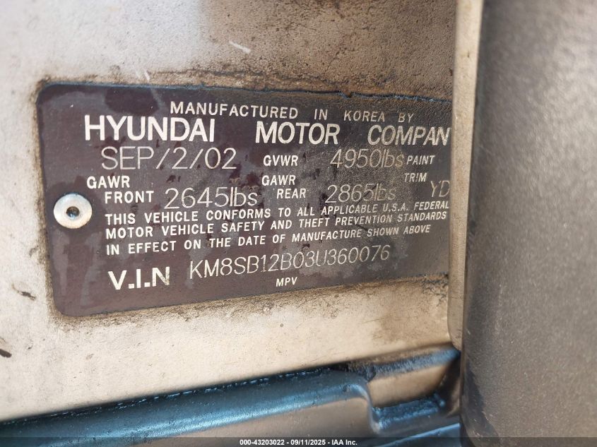 2003 Hyundai Santa Fe VIN: KM8SB12B03U360076 Lot: 43203022