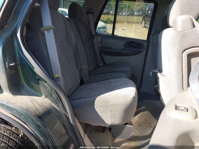 2004 Chevrolet Trailblazer Ls VIN: 1GNDT13S442199034 Lot: 43203182