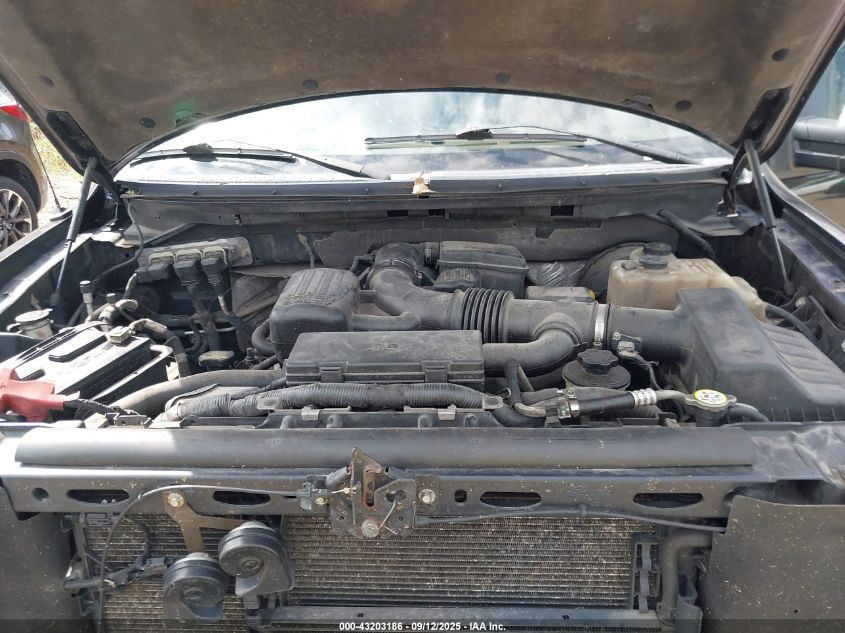 2009 Ford F-150 Fx4/King Ranch/Lariat/Platinum/Xl/Xlt VIN: 1FTPW14V39FA62186 Lot: 43203186