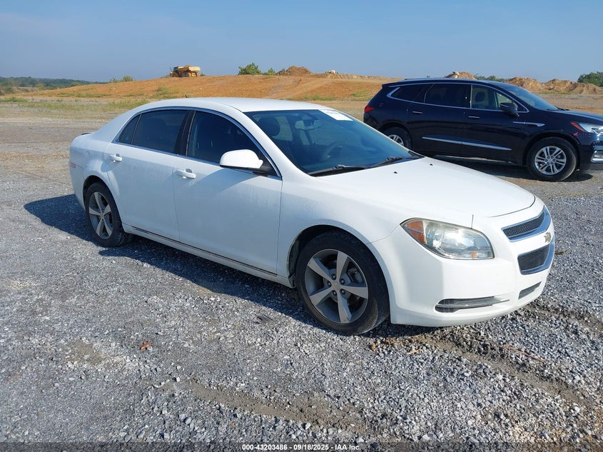 CHEVROLET MALIBU 1LT