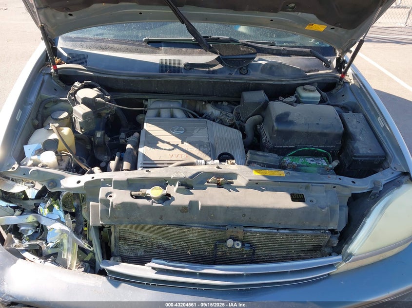 2003 Lexus Rx 300 VIN: JTJHF10U730306060 Lot: 43204561