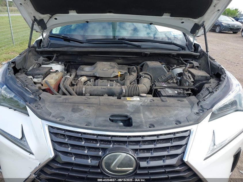2019 Lexus Nx 300 VIN: JTJYARBZ6K2126299 Lot: 43204657