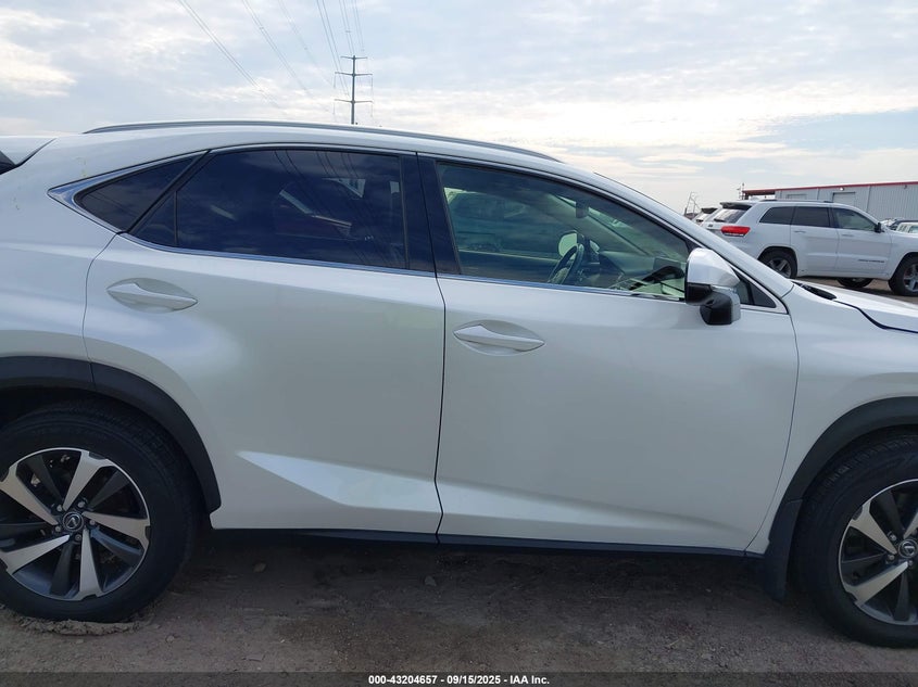 2019 Lexus Nx 300 VIN: JTJYARBZ6K2126299 Lot: 43204657