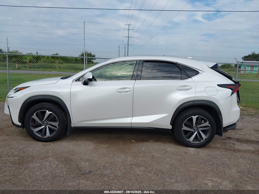 2019 Lexus Nx 300 VIN: JTJYARBZ6K2126299 Lot: 43204657